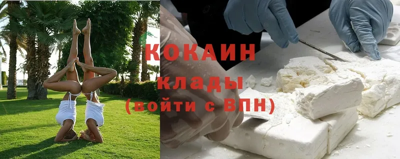 Cocaine FishScale  Дмитровск 